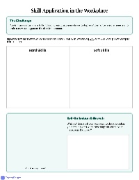 Skill Application Scenario