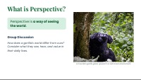 Stepping into Paws: Understanding Perspective