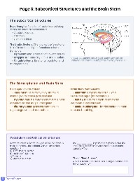 Neuroanatomy Master Guide