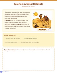 Grade 1 Literacy and Phonics Practice