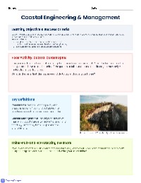 Coastal Management Strategies