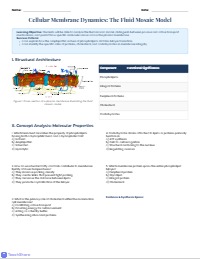 Cell Membrane Structure and Transport Mastery