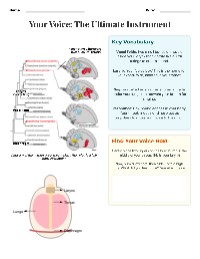 Understanding Your Voice: Techniques and Health