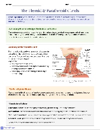 Thyroid and Parathyroid Glands