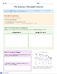 Puberty and Development Worksheet