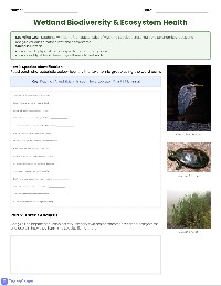 Wetlands Species Review