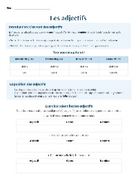 French Adjectives Overview