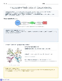 Comparative Study Brainstorm