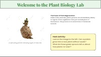 Exploring Plant Reproduction Through Vegetative Propagation