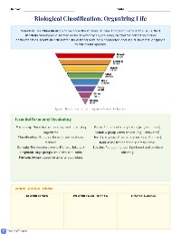 Understanding Biological Classification