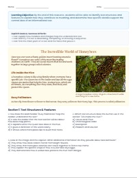 Understanding Informational Text Structures and Details