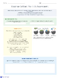 Understanding Enzyme Action