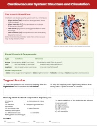 Comprehensive Human Body Systems Review Packet