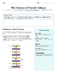 Understanding Muscle Fatigue