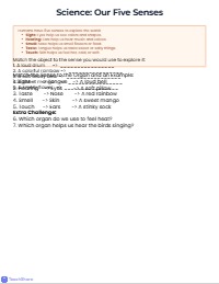 Fun First Grade Summer Review Packet