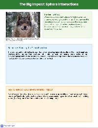 Yellowstone Biosphere Quiz Study Guide