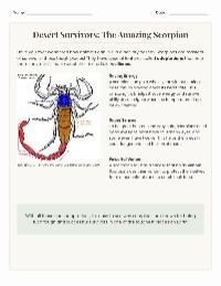 Survival Adaptations of Scorpions