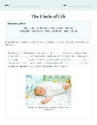 Understanding the Stages of Life