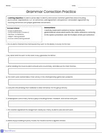 Grammar Correction Practice Worksheet