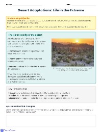Adaptation Puzzle Challenge