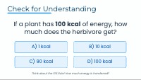 The 10 Percent Rule: Energy in Ecosystems