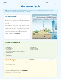 Understanding How Water Moves: The Water Cycle