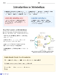 Overview of Metabolism and Pathways