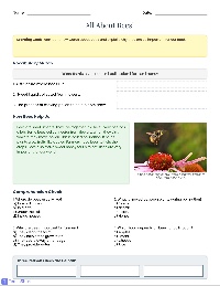 Understanding the Role of Bees