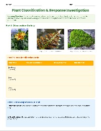 Plant Responses and Classification Lab
