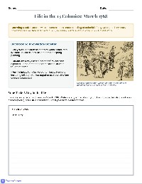 Colonial Child's Diary Entry