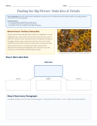 Mastering Main Ideas and Supporting Details