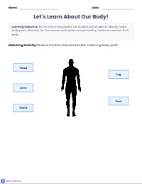 Exploring My Amazing Human Body