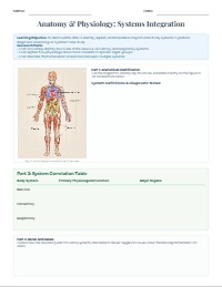 Human Body Systems Diagnostic Case Study