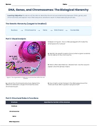From DNA to Traits: Genetics Foundations
