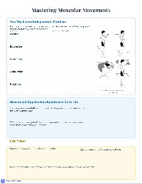 Muscular System Practice Worksheet
