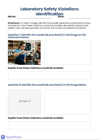 Laboratory Safety Violations Worksheet