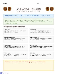 Amazing Bears Poster