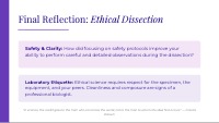 Mastering Frog Dissection Safety and Tools