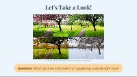 Exploring the Four Amazing Seasons
