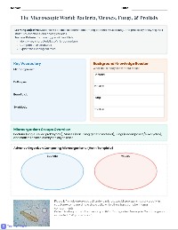 Understanding Microorganisms: Bacteria to Viruses