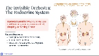 Thyroid, Parathyroid, and Thymus Glands
