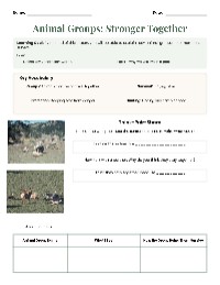 Animal Groups and Survival