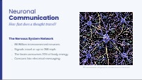 Neuronal Communication: Electricity and Chemistry
