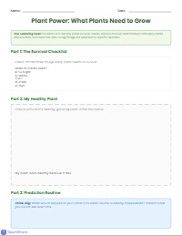 Living Things: Plants, Animals, and Habitats