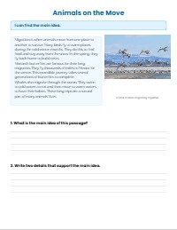 Main Idea and Detail Reading Practice