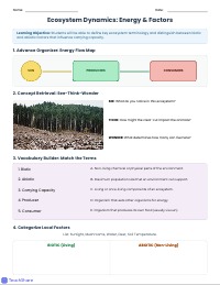 Ecosystem Vocabulary Warm-up