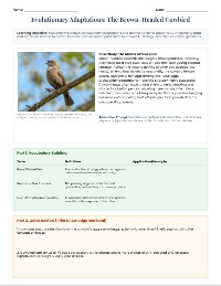Brood Parasitism AP Biology Practice