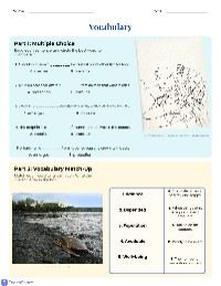 Ocean Life Vocabulary Exercises
