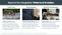 Ecological Disruption: Invasive Species Case Study