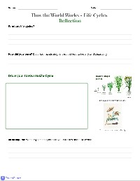 My Life Cycles Reflection Journal